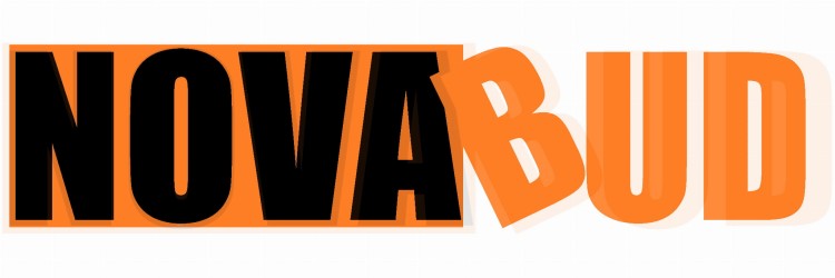 LOGO 1_1.jpg
