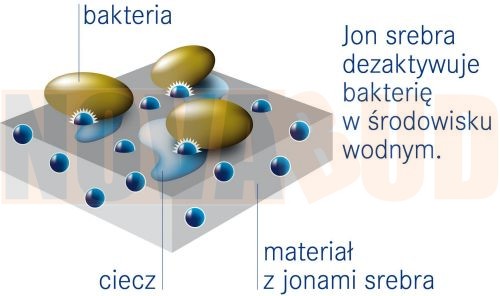 dbe8d31d02f61ead7b73b4a109704ef7